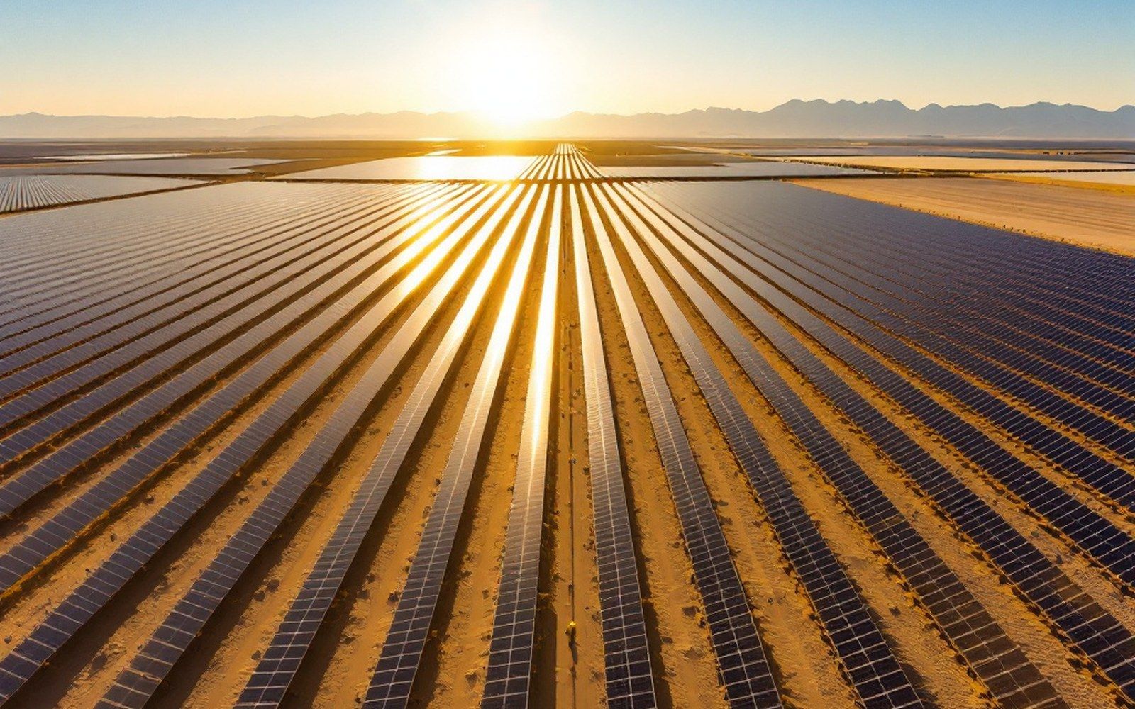A vast solar field in flat desert seen from a low rise, heat shimmer above the rows